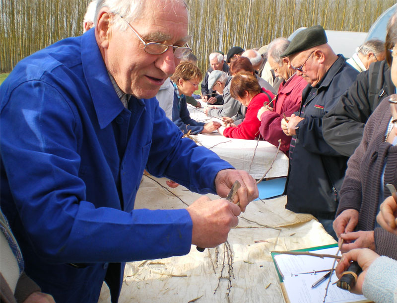 Cours de greffage