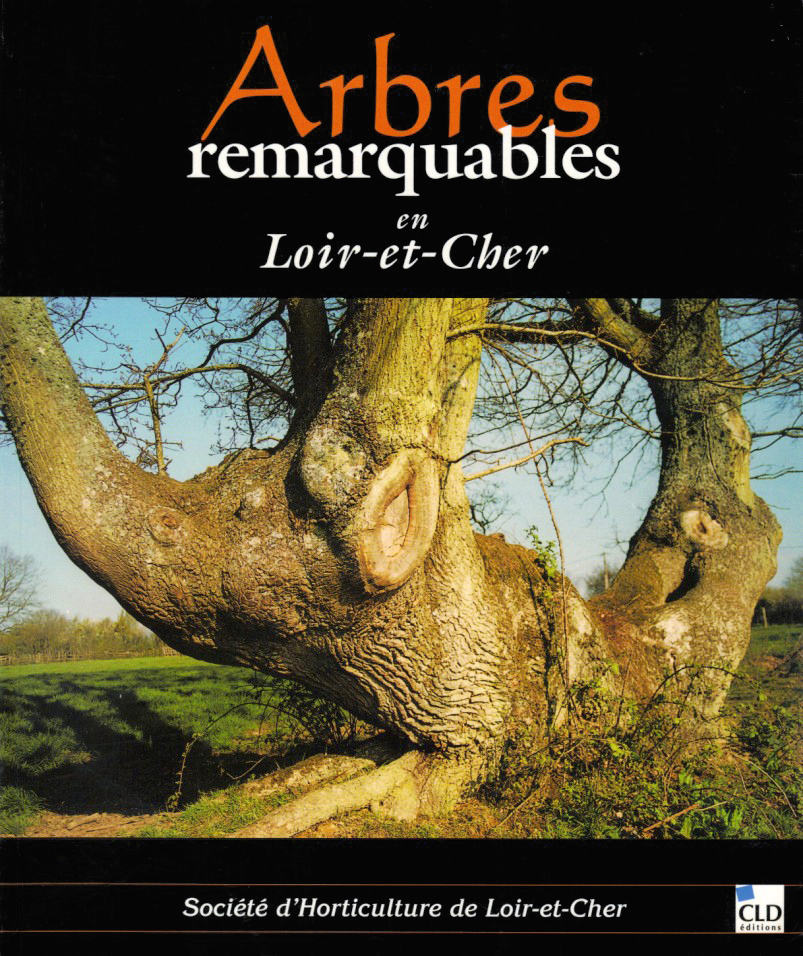 Arbres remarquables en Loir-et-Cher